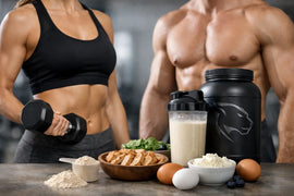 Best Protein for Body Recomposition