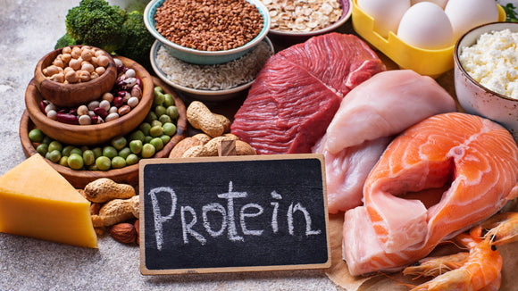 Protein Sources Comparison: Whey vs Whole Food vs Plant (What’s Best?) | Stealth Supplements