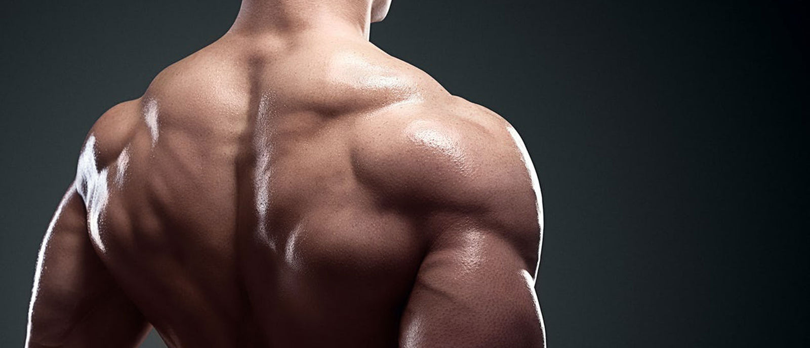 Shoulder Exercises for Beginners